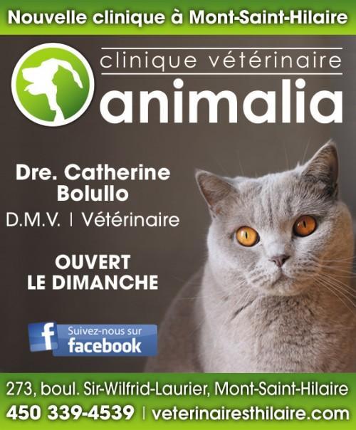 Vétérinaire Mont Saint-Hilaire
