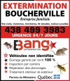 Bang Extermination - Boucherville