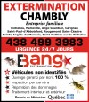 Bang Extermination - Chambly