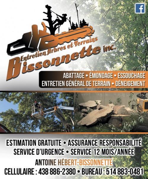 Arbres-Service Boucherville