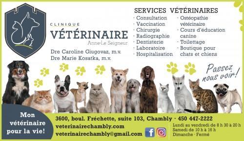 Clinique vétérinaire à Chambly